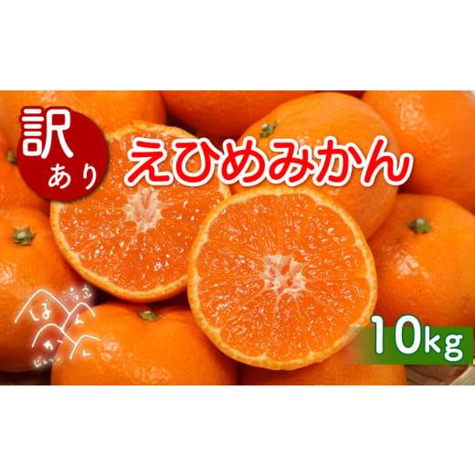 ふるさと納税 みかん・柑橘類 愛媛県 愛南町 先行予約 訳あり 愛媛みかん 10kg 傷み補償 500g 増量 発送期間 2025年11月上旬以降 みかん 愛媛みかん 温州みか…
