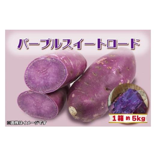 ふるさと納税 野菜類 サツマイモ 茨城県 行方市 2025年11月より順次発送 2025年度産 パープルスイートロード 約5kg|さつまいも 芋 お芋 パープルスイートロ…