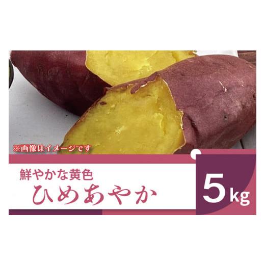ふるさと納税 野菜類 サツマイモ 茨城県 行方市 2025年11月より順次発送 2025年度産 鮮やかな黄色のさつまいも ひめあやか 約5kg|さつまいも サツマイモ さ…