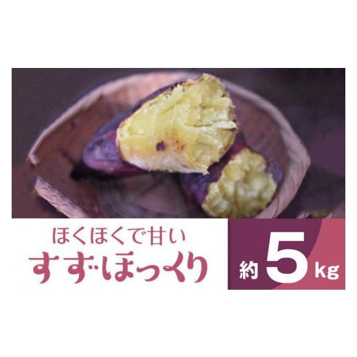 ふるさと納税 野菜類 サツマイモ 茨城県 行方市 2025年度産 ホクホクで甘いさつまいも すずほっくり 約5kg｜さつまいも 芋 お芋 すずほっくり 渋谷農園 茨城県…の画像