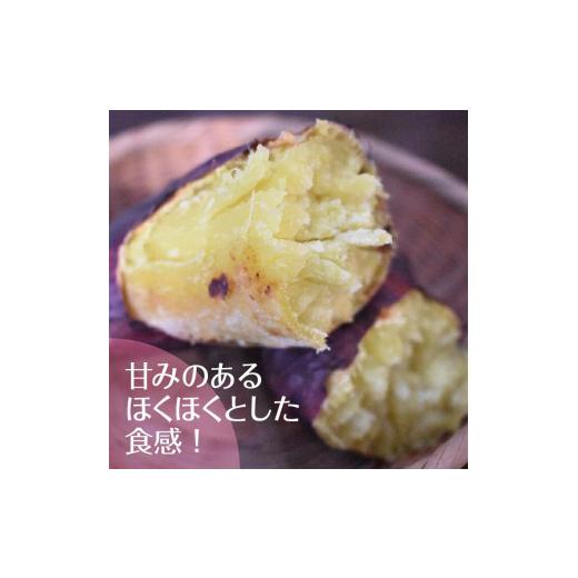 ふるさと納税 野菜類 サツマイモ 茨城県 行方市 2025年度産 ホクホクで甘いさつまいも すずほっくり 約5kg｜さつまいも 芋 お芋 すずほっくり 渋谷農園 茨城県…の画像