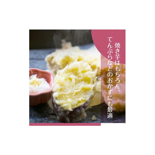 ふるさと納税 野菜類 サツマイモ 茨城県 行方市 2025年度産 ホクホクで甘いさつまいも すずほっくり 約5kg｜さつまいも 芋 お芋 すずほっくり 渋谷農園 茨城県…の画像