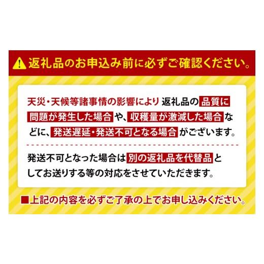 ふるさと納税 野菜類 サツマイモ 茨城県 行方市 2025年度産 ホクホクで甘いさつまいも すずほっくり 約5kg｜さつまいも 芋 お芋 すずほっくり 渋谷農園 茨城県…の画像