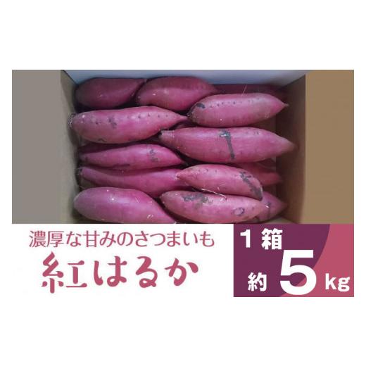 ふるさと納税 野菜類 サツマイモ 茨城県 行方市 2025年度産 濃厚な甘みのさつまいも 紅はるか 約5kg｜さつまいも 芋 お芋 紅はるか 渋谷農園 茨城県 行方市(BZ…の画像