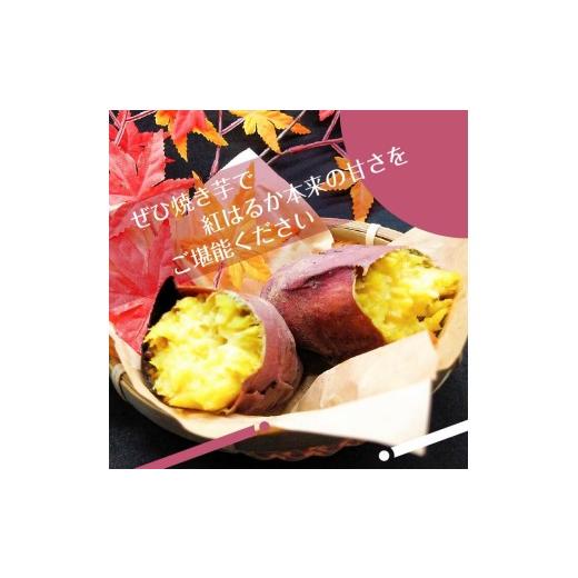 ふるさと納税 野菜類 サツマイモ 茨城県 行方市 2025年度産 濃厚な甘みのさつまいも 紅はるか 約5kg｜さつまいも 芋 お芋 紅はるか 渋谷農園 茨城県 行方市(BZ…の画像