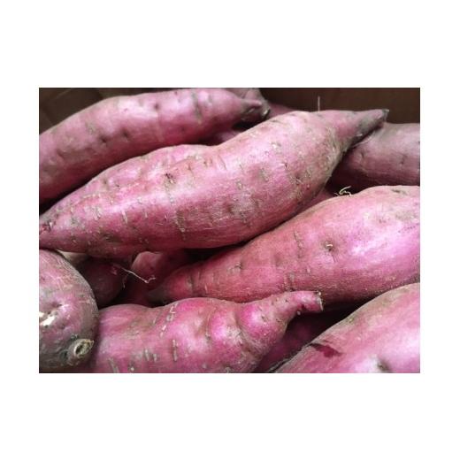 ふるさと納税 野菜類 サツマイモ 茨城県 行方市 2025年度産 濃厚な甘みのさつまいも 紅はるか 約5kg｜さつまいも 芋 お芋 紅はるか 渋谷農園 茨城県 行方市(BZ…の画像
