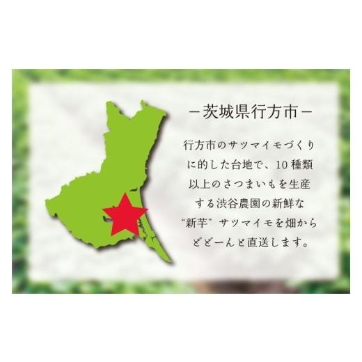 ふるさと納税 野菜類 サツマイモ 茨城県 行方市 2025年度産 濃厚な甘みのさつまいも 紅はるか 約5kg｜さつまいも 芋 お芋 紅はるか 渋谷農園 茨城県 行方市(BZ…の画像