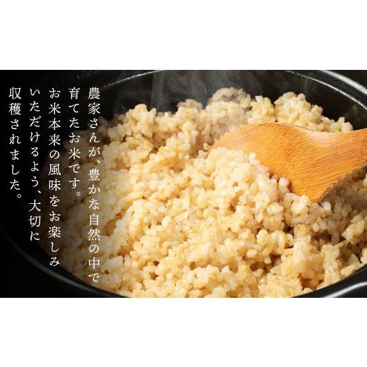 ふるさと納税 玄米 熊本県 高森町 6ヶ月定期便 阿蘇だわら（玄米）10kg（2kg×5）熊本県 高森町 オリジナル米