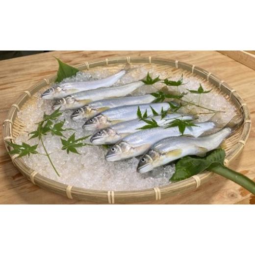 ふるさと納税 川魚 あゆ 三重県 大台町 (冷蔵) 鮎 約1.4kg /大森水産 あゆ お取り寄せグルメ 川魚 和食 三重県 大台町