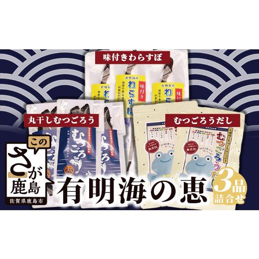 ふるさと納税 魚貝類 佐賀県 鹿島市 B-450 有明海の恵(丸干しむつごろう・味付きわらすぼ・むつごろう出汁セット)