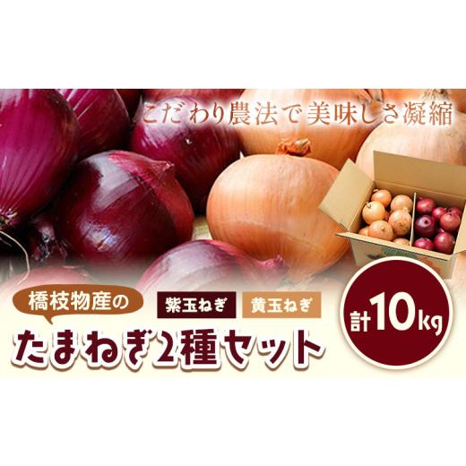 ふるさと納税 野菜類 玉ねぎ 北海道 浦幌町 電子技法栽培たまねぎ2種セット 紫玉ねぎ 黄玉ねぎ 合計約10kg 野菜《2026年10月上旬から順次出荷》橋枝物産 北海…の画像