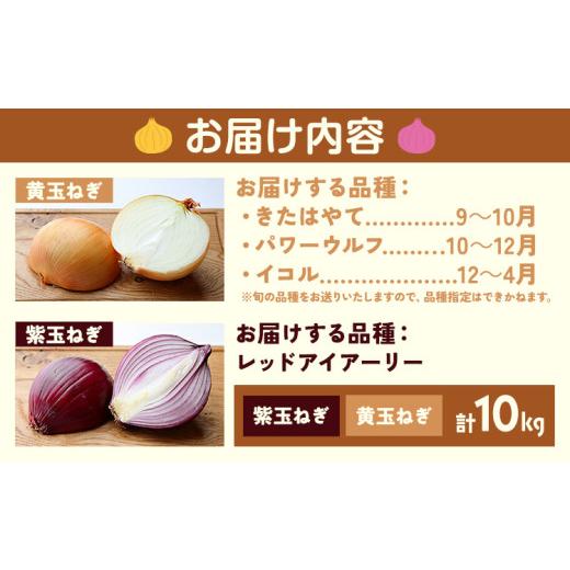 ふるさと納税 野菜類 玉ねぎ 北海道 浦幌町 電子技法栽培たまねぎ2種セット 紫玉ねぎ 黄玉ねぎ 合計約10kg 野菜《2026年10月上旬から順次出荷》橋枝物産 北海…の画像
