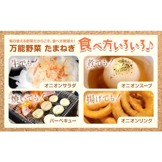 ふるさと納税 野菜類 玉ねぎ 北海道 浦幌町 電子技法栽培たまねぎ2種セット 紫玉ねぎ 黄玉ねぎ 合計約10kg 野菜《2026年10月上旬から順次出荷》橋枝物産 北海…の画像