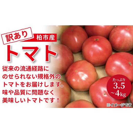 ふるさと納税 千葉県 柏市 柏市産訳ありトマト 3.5kg〜4kg