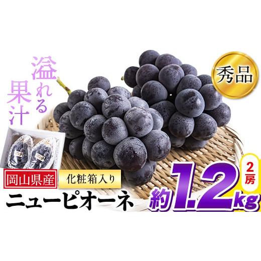 ふるさと納税 岡山県 矢掛町 23. [先行予約] 秀品 ニューピオーネ 約1.2kg 2房[2024年9月中旬〜11月上旬頃に出荷予定(土日祝除く)]