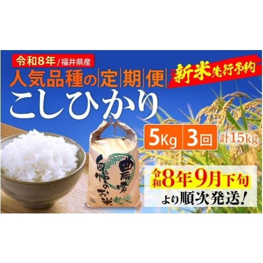 ふるさと納税 玄米 福井県 越前町 令和8年産新米・先行予約 定期便 3ヶ月連続お届け こしひかり 5kg × 3回(計15kg)令和8年 令和8年9月下旬より順次発送 福…