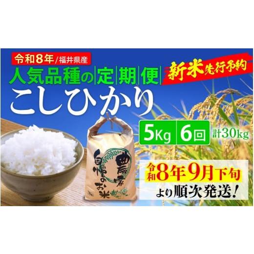 ふるさと納税 玄米 福井県 越前町 令和8年産新米・先行予約 定期便 6ヶ月連続お届け こしひかり 5kg × 6回(計30kg) 令和8年 福井県産 人気品種の定期便 (…