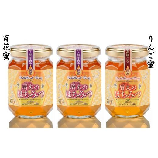 ふるさと納税 加工品等 はちみつ 石川県 羽咋市 りんご 百花 蜂蜜 175g 3本 国産 天然 純粋 非加熱 無調整 優しい 甘さ コク 複雑な 味わい 農家 熟成 手作業 …の画像