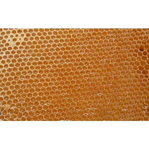 ふるさと納税 加工品等 はちみつ 石川県 羽咋市 りんご 百花 蜂蜜 175g 3本 国産 天然 純粋 非加熱 無調整 優しい 甘さ コク 複雑な 味わい 農家 熟成 手作業 …の画像