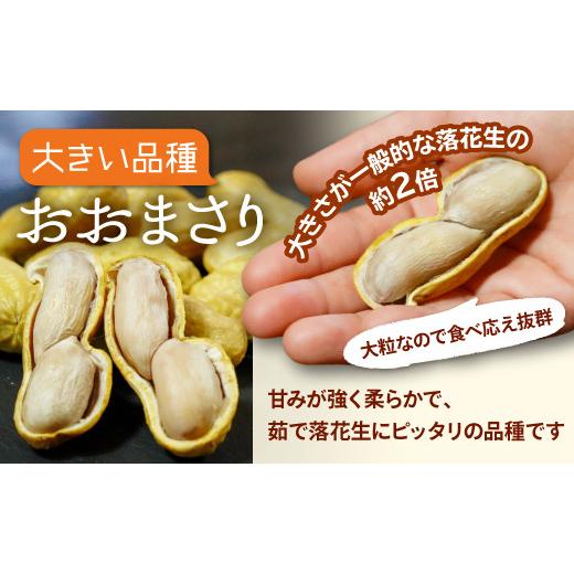 ふるさと納税 豆類 落花生 千葉県 八街市 冷凍 茹で落花生 おおまさり 冷凍茹でおおまさり 八街市産 塩ゆで 落花生 おおまさり 茹で落花生 1140g 380g×3袋 千…_2