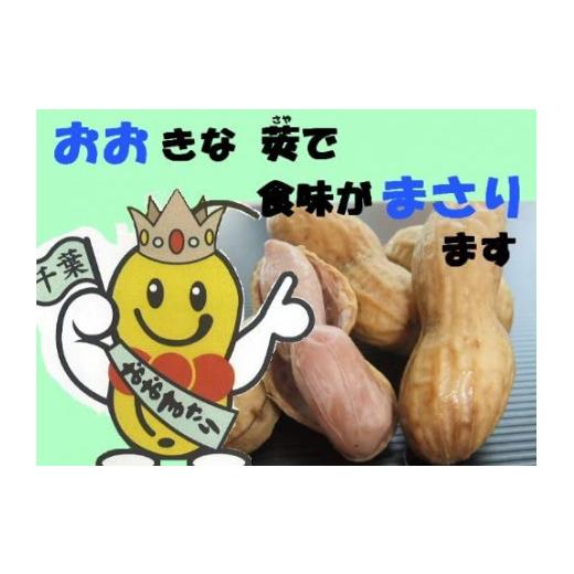 ふるさと納税 豆類 落花生 千葉県 八街市 冷凍 茹で落花生 おおまさり 冷凍茹でおおまさり 八街市産 塩ゆで 落花生 おおまさり 茹で落花生 1140g 380g×3袋 千…_3