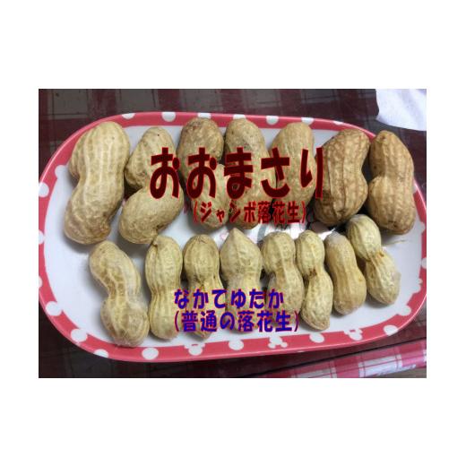 ふるさと納税 豆類 落花生 千葉県 八街市 冷凍 茹で落花生 おおまさり 冷凍茹でおおまさり 八街市産 塩ゆで 落花生 おおまさり 茹で落花生 1140g 380g×3袋 千…_4