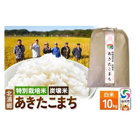 ふるさと納税 米 あきたこまち 秋田県 仙北市 特別栽培米 炭壌米 あきたこまち 令和7年産 新米 白米 10kg