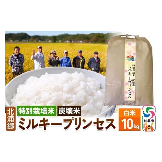 ふるさと納税 米 秋田県 仙北市 特別栽培米 炭壌米 ミルキープリンセス 令和7年産 新米 白米 10kg