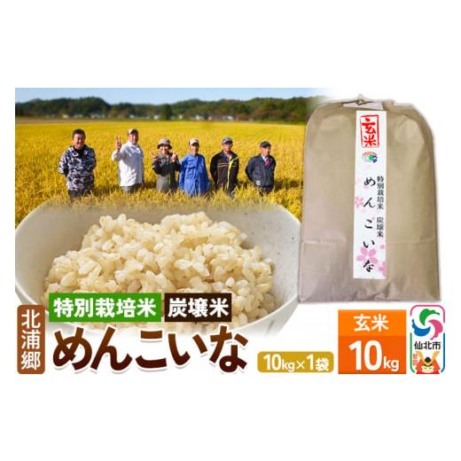 ふるさと納税 玄米 秋田県 仙北市 特別栽培米 炭壌米 めんこいな 令和7年産 新米 玄米 10kg