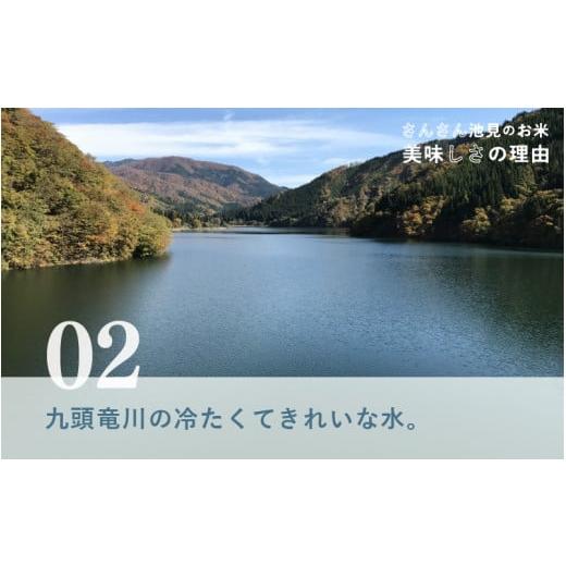 ふるさと納税 福井県 坂井市 【先行予約】【令和6年産・新米】さんさん池見二代目が笑顔で育てたコシヒカリ 10kg 〜福井県産 生産者直送！〜（無洗米）【お米 …｜furusatochoice｜07