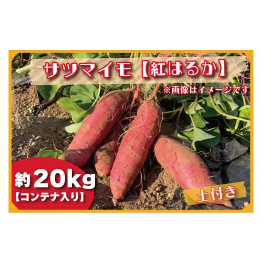 ふるさと納税 茨城県 行方市 BZ-33 [先行予約]約20kgコンテナ入りサツマイモ(紅はるか)