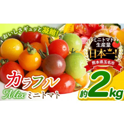 ふるさと納税 野菜類 トマト 熊本県 玉名市 ミニトマト 生産量 日本一 玉名市 彩りセット （ミックス） 2kg | カラフル トマト とまと トマト ミニトマト トマ…_1