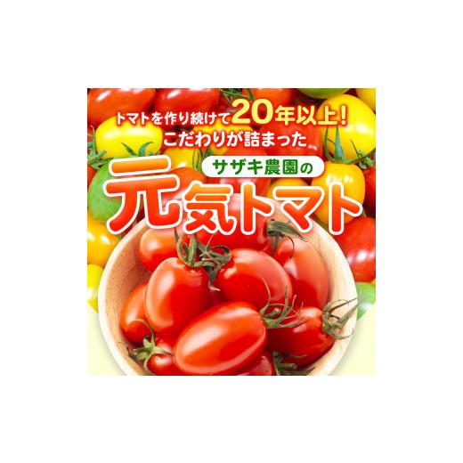 ふるさと納税 野菜類 トマト 熊本県 玉名市 ミニトマト 生産量 日本一 玉名市 彩りセット （ミックス） 2kg | カラフル トマト とまと トマト ミニトマト トマ…_2