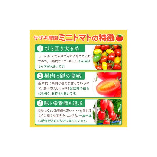 ふるさと納税 野菜類 トマト 熊本県 玉名市 ミニトマト 生産量 日本一 玉名市 彩りセット （ミックス） 2kg | カラフル トマト とまと トマト ミニトマト トマ…_3