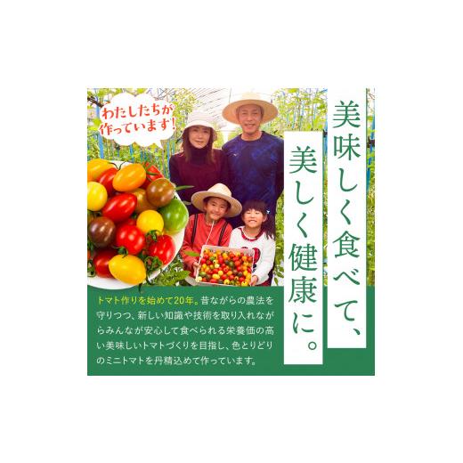 ふるさと納税 野菜類 トマト 熊本県 玉名市 ミニトマト 生産量 日本一 玉名市 彩りセット （ミックス） 2kg | カラフル トマト とまと トマト ミニトマト トマ…_4