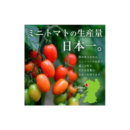 ふるさと納税 野菜類 トマト 熊本県 玉名市 ミニトマト 生産量 日本一 玉名市 彩りセット （ミックス） 2kg | カラフル トマト とまと トマト ミニトマト トマ…_5