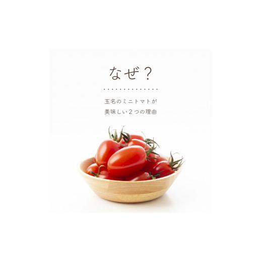 ふるさと納税 野菜類 トマト 熊本県 玉名市 ミニトマト 生産量 日本一 玉名市 彩りセット （ミックス） 2kg | カラフル トマト とまと トマト ミニトマト トマ…_6