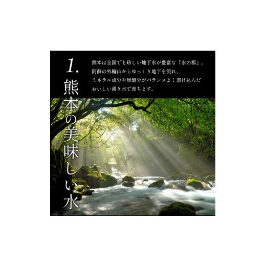 ふるさと納税 野菜類 トマト 熊本県 玉名市 ミニトマト 生産量 日本一 玉名市 彩りセット （ミックス） 2kg | カラフル トマト とまと トマト ミニトマト トマ…_7