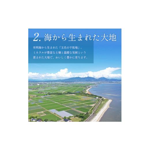 ふるさと納税 野菜類 トマト 熊本県 玉名市 ミニトマト 生産量 日本一 玉名市 彩りセット （ミックス） 2kg | カラフル トマト とまと トマト ミニトマト トマ…_8