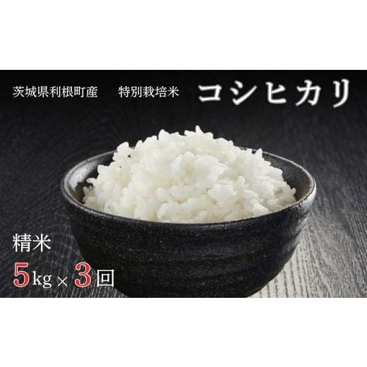 ふるさと納税 米 コシヒカリ 茨城県 利根町 3ヶ月定期便 利根町産 特別栽培米 コシヒカリ 精米5kg×3回 / お米 コメ こめ ごはん コシヒカリ 白米 精米 5kg…
