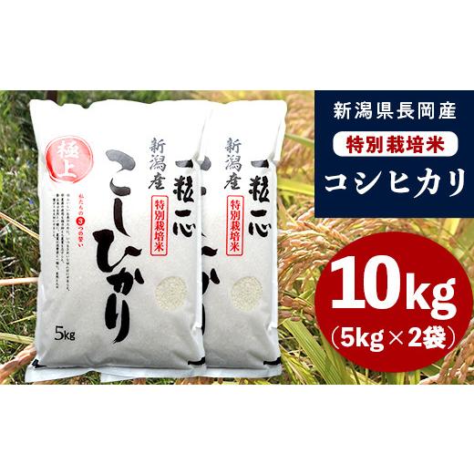 ふるさと納税 米 コシヒカリ 新潟県 長岡市 48-7N101新潟県長岡産特別栽培米コシヒカリ10kg