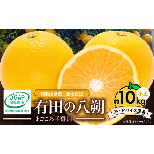 ふるさと納税 みかん・柑橘類 和歌山県 湯浅町 2027年先行予約 和歌山県産 有田の 八朔 (はっさく) 約10kg 小玉 2S〜Mサイズ混合 まごころ手選別 _ZE6154n