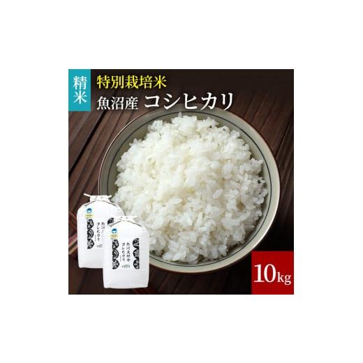 ふるさと納税 米 コシヒカリ 新潟県 魚沼市   令和7年産 米農家自慢の特別栽培米魚沼産コシヒカリ(精米)10kg お米