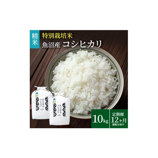 ふるさと納税 米 コシヒカリ 新潟県 魚沼市   米農家自慢の特別栽培米魚沼産コシヒカリ(精米)10kg(5kg×2袋) 12ヶ月 連続お届け お米 12回 1年