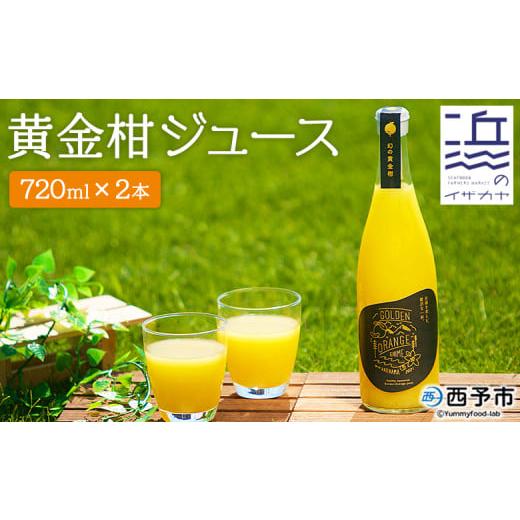 ふるさと納税 果汁飲料 みかん 愛媛県 西予市 黄金柑ジュース 2本セット (愛媛県明浜産)