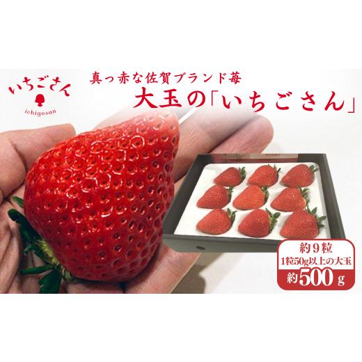 ふるさと納税 いちご 佐賀県 佐賀市 ITOFARM 大玉のいちごさん イチゴ いちご 苺 フルーツ 果物 佐賀県産 :B630-002