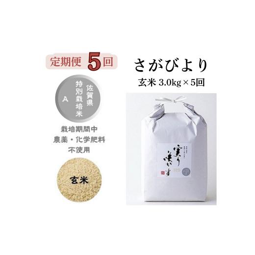 ふるさと納税 米 さがびより 佐賀県 佐賀市 定期便5回 「実り咲かす」農薬・化学肥料不使用『さがびより』玄米3kg(計15kg):B690-016