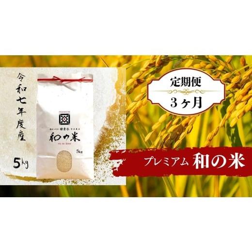 ふるさと納税 玄米 茨城県 利根町 3ヵ月定期便 [ 令和7年産 ]和の米「酵素米」プレミアム 玄米5kg×3回 / 米 こめ コメ お米 おこめ コシヒカリ こしひか…
