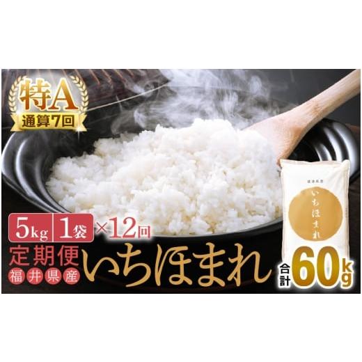 ふるさと納税 米 福井県 越前町 特A通算7回 お米 令和7年産 定期便 12回 いちほまれ 5kg × 12回(計60kg)福井県産 米 コメ kome 12ヶ月連続 計60キロ 精米 …