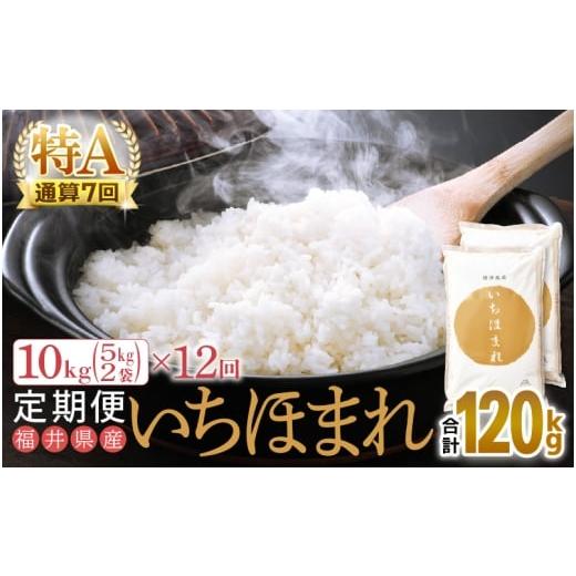 ふるさと納税 米 福井県 越前町 特A通算7回 お米 令和7年産 定期便 12回 いちほまれ 10kg × 12回(計120kg)福井県産 米 コメ kome 12ヶ月連続 計120キロ 精…